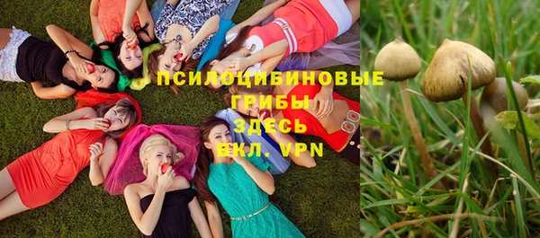 твердый Богородицк