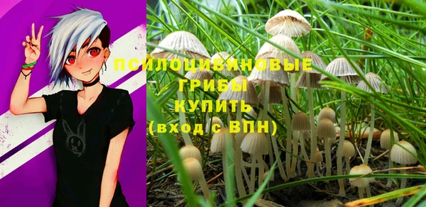 прущие грибы Богданович