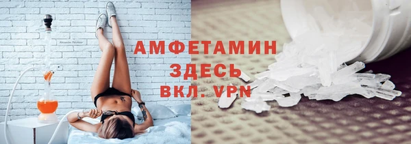 прущие грибы Богданович