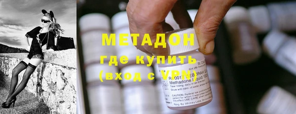 прущие грибы Богданович