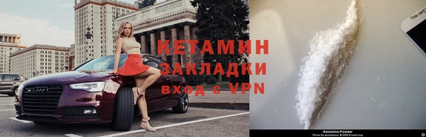 прущие грибы Богданович