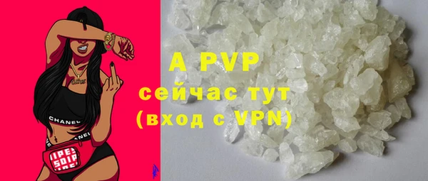 прущие грибы Богданович