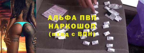 прущие грибы Богданович