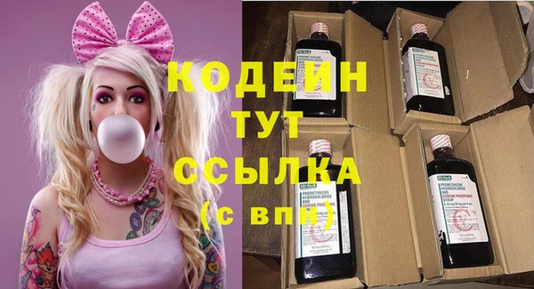 прущие грибы Богданович