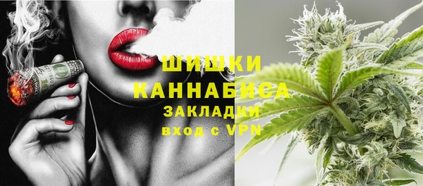 прущие грибы Богданович