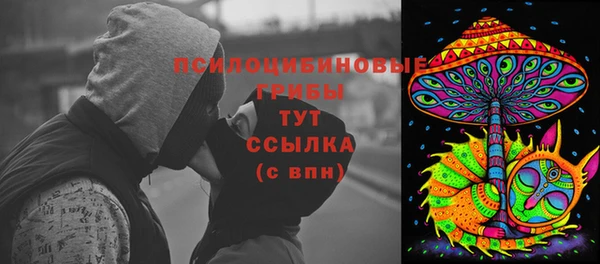 прущие грибы Богданович