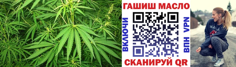 ТГК Wax  Новый Уренгой 