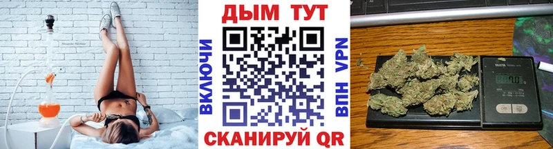 Канабис семена  цены   мега tor  Новый Уренгой 